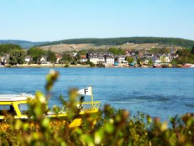 6 Tage - Rheingau erleben! inkl. € 30 Gutschein für ein Abendessen