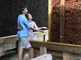 Kurztrip - Auszeit vom Alltag in der Weser Ems