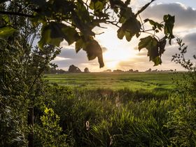 Kurze Auszeit an der Nordsee - inkl. 1x Abendessen| 3 Tage