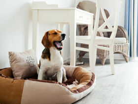 Kurze Auszeit an der Nordsee - inkl. 1x Abendessen| 3 Tage