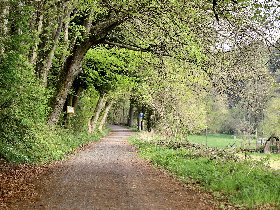 Auszeit im Odenwald mit Sauna & Massage  