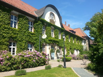 Harz mit Hund