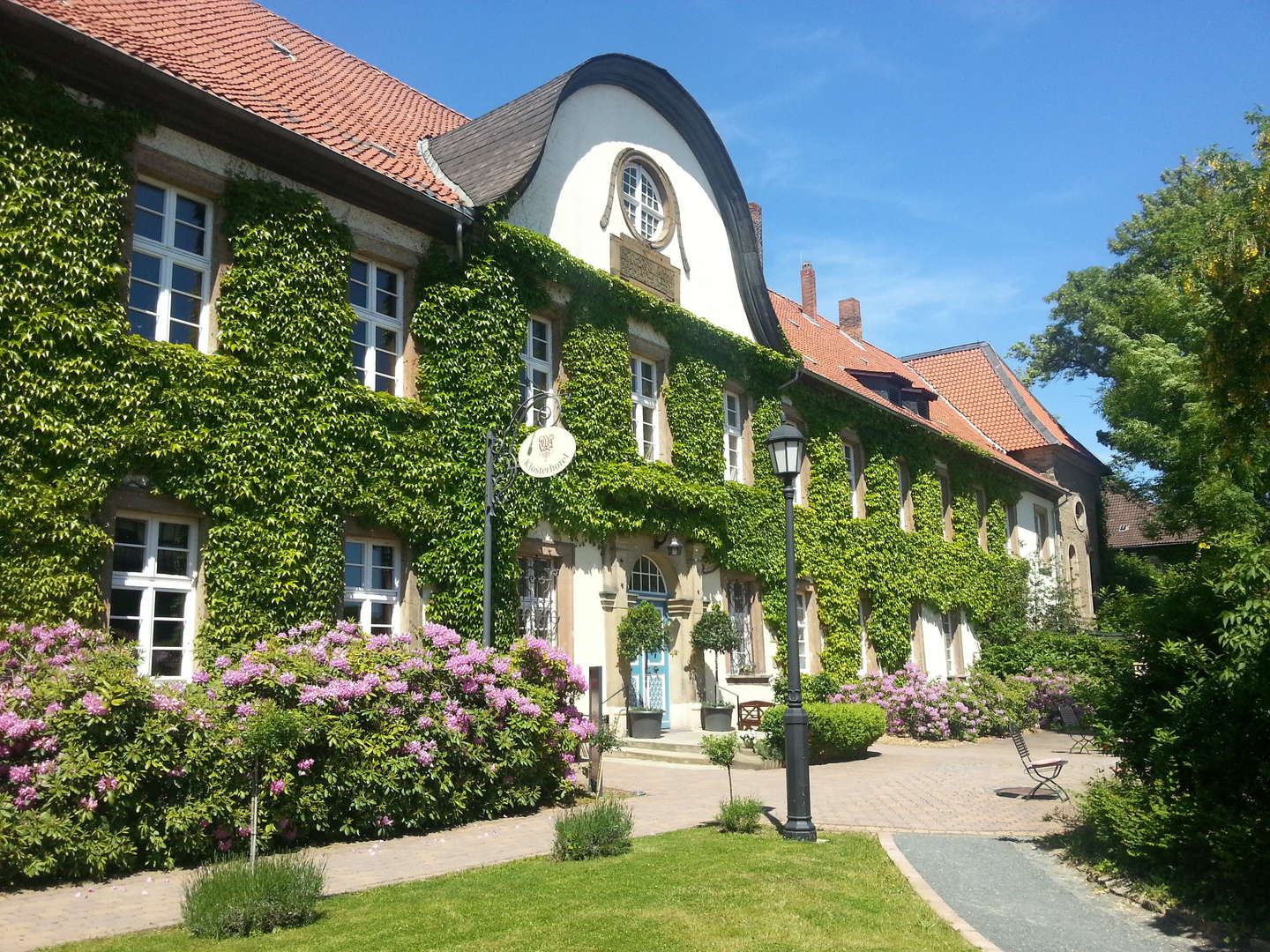 Harz mit Hund