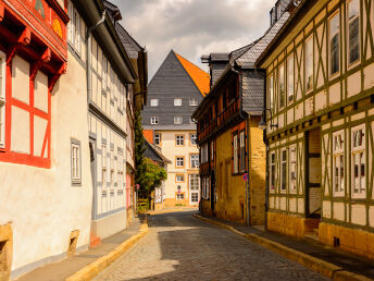 Harz mit Hund