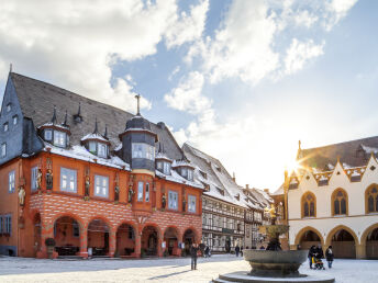 Harz mit Hund