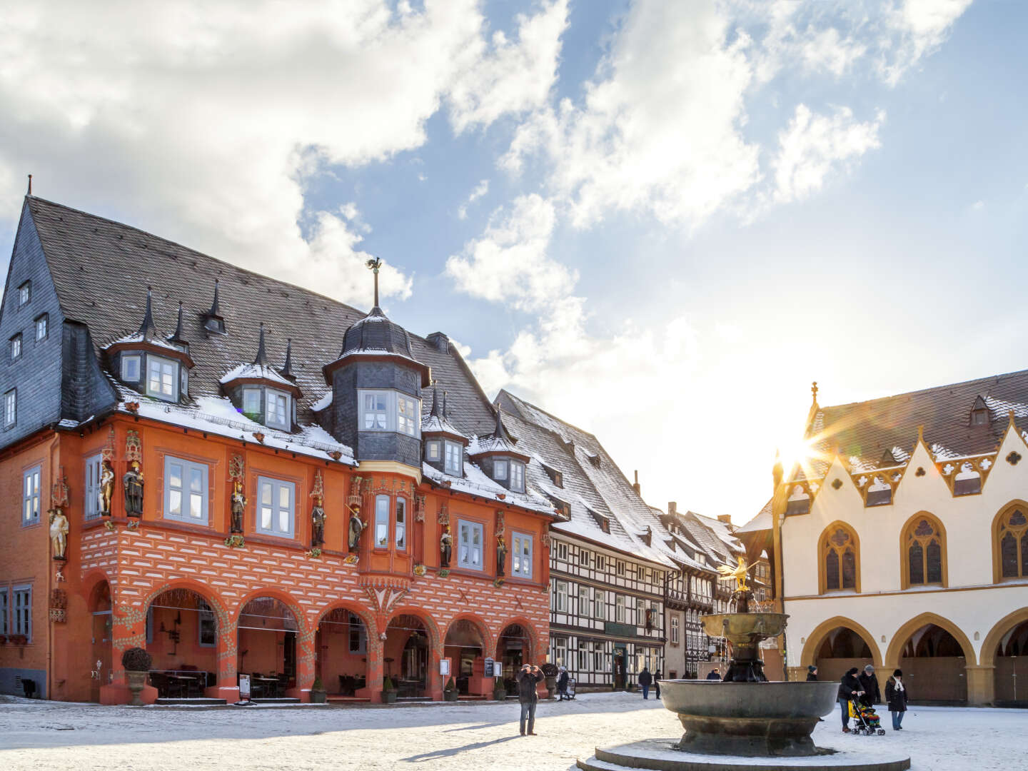 Harz mit Hund