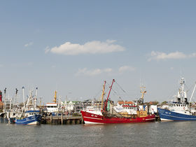 Auszeit in Büsüm an der Nordsee  | 3 Tage