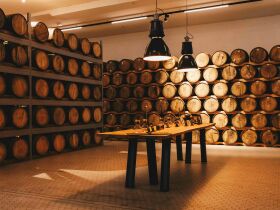 Silvester auf dem Hardenberg 1