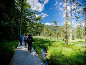 Kurzurlaub im Bayerischen Wald inkl. Abendessen