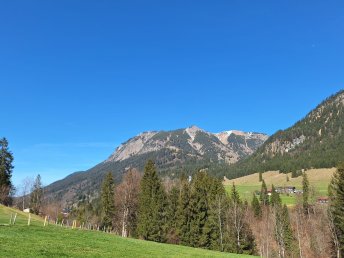 Bild 21 von 22