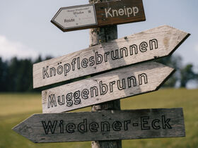 Weihnachtliches rundum-sorglos Arrangement