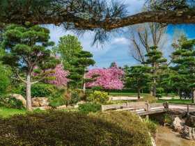 Auszeit vom Alltag in Düsseldorf - 4 Tage Architektur, Shopping und Kultur