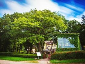 Genießerurlaub für Aktive und Genießer direkt am Güstrower Inselsee (5 Nächte)