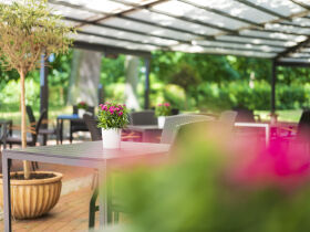 Genießerurlaub für Aktive und Genießer direkt am Güstrower Inselsee (5 Nächte)