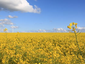 3 Tage Kurzurlaub zwischen Rostock und der Ostsee inkl. Halbpension