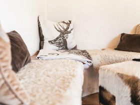 5 Tage Wandertage mit Ihrem Vierbeiner in Braunlage im Harz