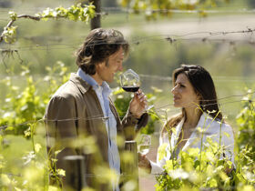 Natur erleben & Geschichte entdecken 