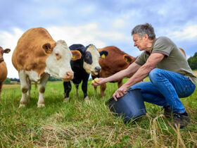 Flairgenusspaket - Das Edersee Verwöhnangebot | inkl. Schifffahrt 3 Tage 