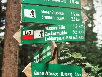 Bild 30 von 34