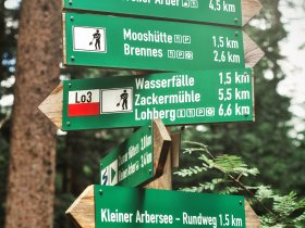 Auf alten Schmugglerpfaden am Großen Arber.