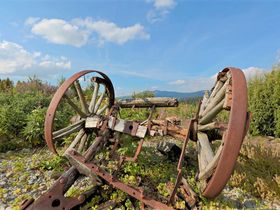 Auf alten Schmugglerpfaden am Großen Arber 