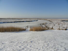 Stürmische Auszeit auf der Hallig und mitten im Meer...