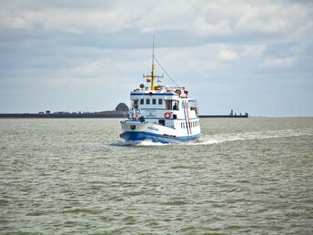 Bild 17 von 26