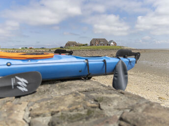 Last Minute - Hallig Langeness in der Nordsee