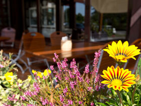 Aktiv zu Fuß oder per Rad an der Müritz