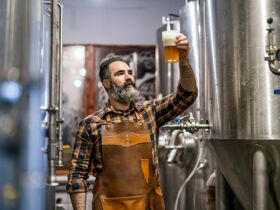 Aktiv zu Fuß oder per Rad an der Müritz