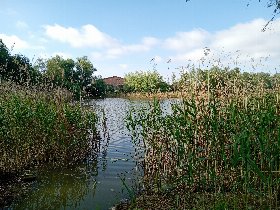 Wellness-Wohlfühlzeit