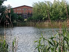 Entspannung an der Müritz