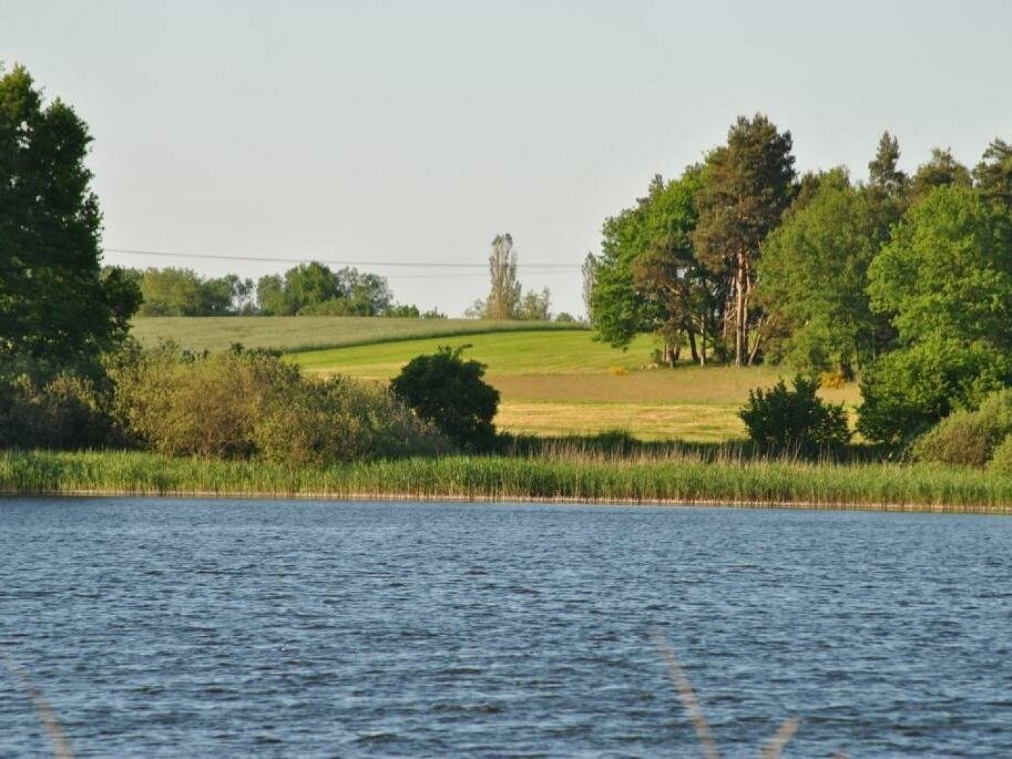 Scheunen- Schnuppertage an der Müritz