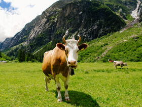 Osterausflug - 3 Nächte 