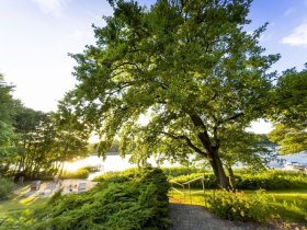 4 Tage Kurzurlaub an der Mecklenburger Seenplatte inkl. Halbpension