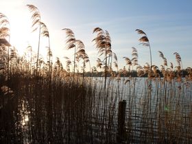 2 Nächte Zeit für Romantik inkl. Candle-Light Dinner in Ratzenburg