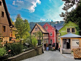 3 Bio-Genuss- Aktiv- Tage direkt an der Elbe in der Sächsischen Schweiz inkl. Halbpension