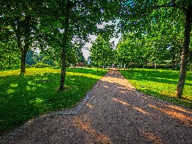 8 Tage Weihnachten im Hochschwarzwald inkl. Halbpension 