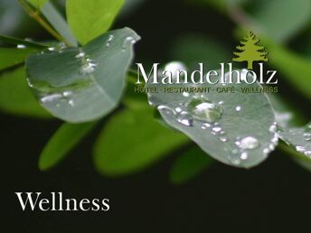 Wellness Pur im Harz