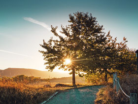 Romeo und Julia - 3 Tage im Harz inkl. Dinner & Wellness