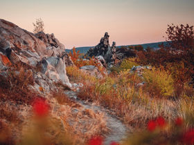 Romeo und Julia - 3 Tage im Harz inkl. Dinner & Wellness