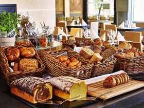 Tierisch guter Kurzurlaub in Köln | 4 Tage