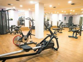 Tierisch guter Kurzurlaub in Köln | 4 Tage