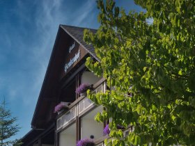 Goldener Oktober in Willingen: 4 Tage Natur, Wandern & Kultur