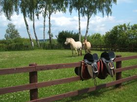 Kurzurlaub - Urlaub inmitten der Mecklenburger Seenplatte