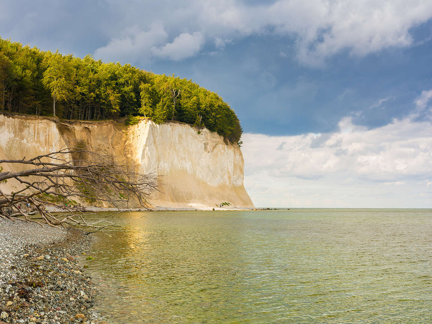 Kurzurlaub auf Rügen -hoch hinaus auf dem Baumwipfelpfad + Schwimmbad
