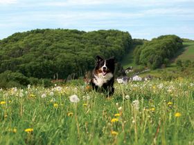 Jedes Jahr Hochzeitstag - 2 Tage in Bayern