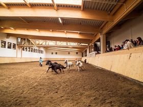 Große Auszeit im Südharz