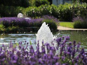 Geniessertage im Hunsrück  inkl. 3 Gang Halbpension (4 Nächte)