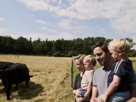 Geniessertage im Hunsrück  inkl. 3 Gang Halbpension (4 Nächte)